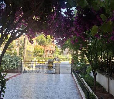 Oren Mahallesi House | Evim Palace