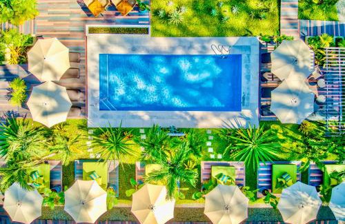 Manzanillo Hotel | Exôtico Beach Hotel