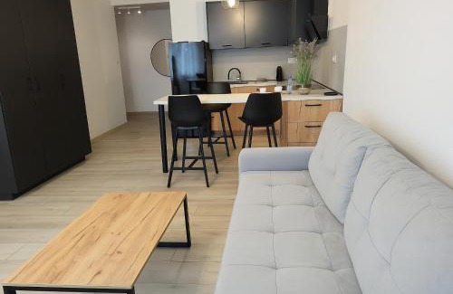 Opole Apartment | Exclusive Apartment - blisko Dworca, darmowy parking, późne wymeldowanie, rowerownia