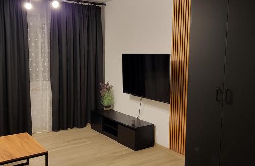 Opole Apartment | Exclusive Apartment - blisko Dworca, darmowy parking, późne wymeldowanie, rowerownia