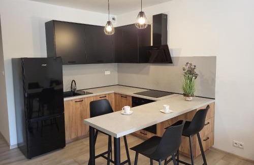 Opole Apartment | Exclusive Apartment - blisko Dworca, darmowy parking, późne wymeldowanie, rowerownia