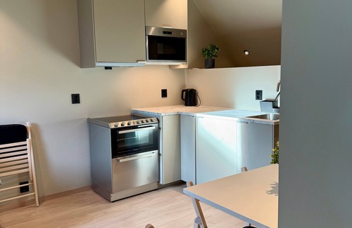 Nygard Apartment | Exclusive penthouse - newly renovated in 2025, with views and style!