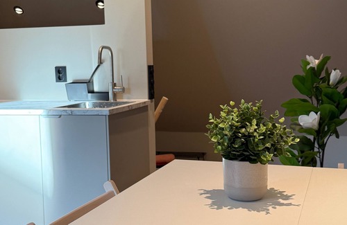 Nygard Apartment | Exclusive penthouse - newly renovated in 2025, with views and style!