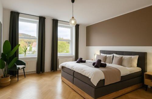 Bad Sooden-Allendorf Apartment | Exklusive 2 Whg - 6 SZ - 14 P - 2 Küchen - 4 Bäder - Mitten in Deutschland - Kurstadt fußläufig