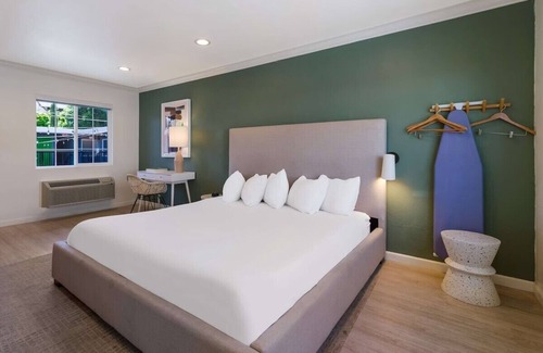 Piedmont Avenue Hotel | Explore the amazing riches of local aquatic animals in the Aquarium of the Bay!