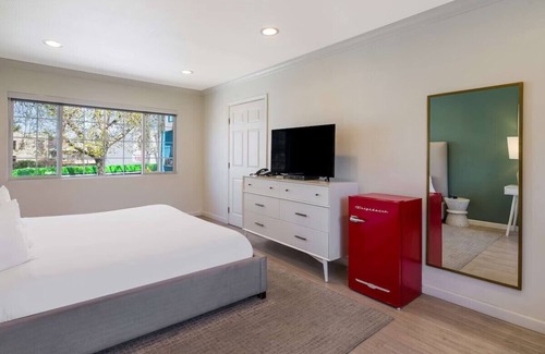 Piedmont Avenue Hotel | Explore the amazing riches of local aquatic animals in the Aquarium of the Bay!