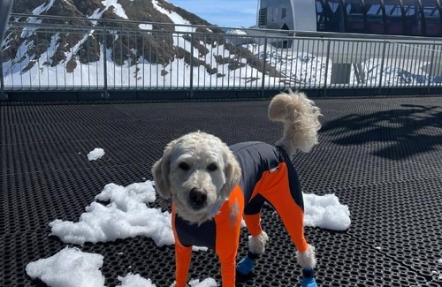 Mols Ski Chalet | Extraordinaire Chalet - Walensee