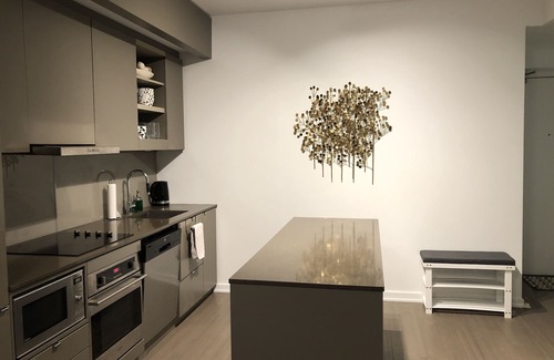 Downtown Toronto Condo | Eye of the 6ix (close to downtown Toronto attractions)