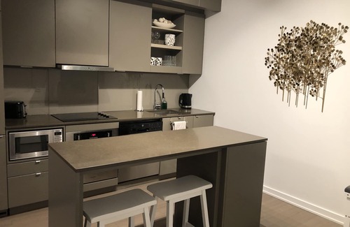 Downtown Toronto Condo | Eye of the 6ix (close to downtown Toronto attractions)