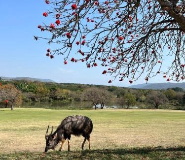 Hazyview Resort | Ezulwini - Kruger Park Lodge Golf Estate