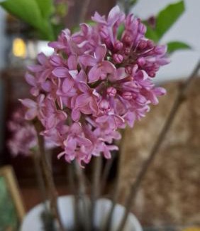 Vac Bed & Breakfast | Fónagy és Walter Vendég- és Borház