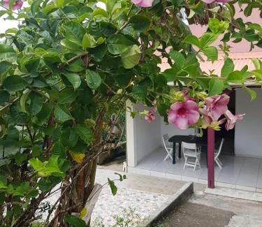 Sainte-Luce House | F1 studio Martinique