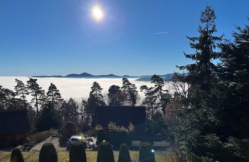 Trois-Epis Apartment | F2 quiet Trois-Épis Magnificent view, forest walks without moderation