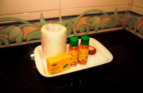 Royapettah Hotel | Fabexpress Lloyds Inn I