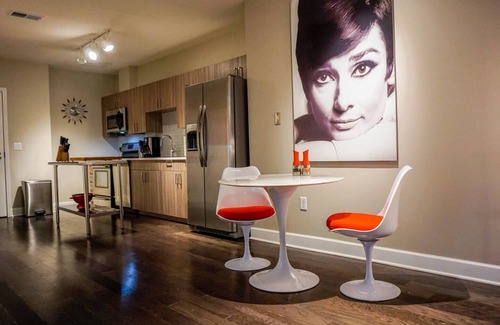 Central Business District Apartment | FABULOUS MID-CENTURY MODERN DESIGNED UNIT IN DOWNTOWN ROCHESTER