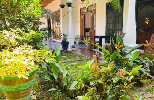 Kimbissa House | Fairview Dill homestay