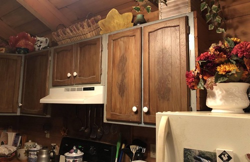 Cullowhee Cabin | Falling Leaf Cabin - a true cabin in the woods in a private setting