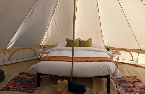 Ham Other | Fallow Fields Camping, Selson Farm