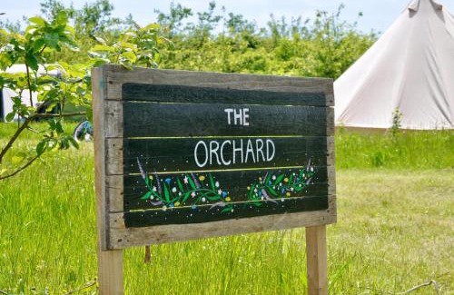 Ham Other | Fallow Fields Camping, Selson Farm