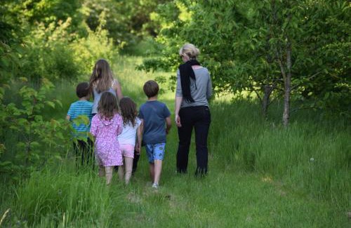 Ham Other | Fallow Fields Camping, Selson Farm