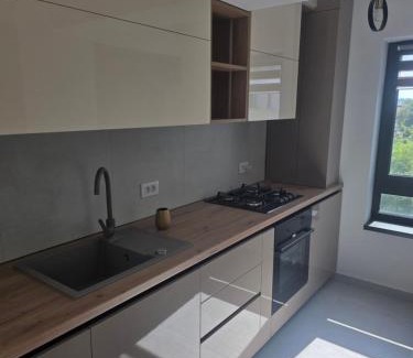 Iasi Apartment | Familia Home iasi 2