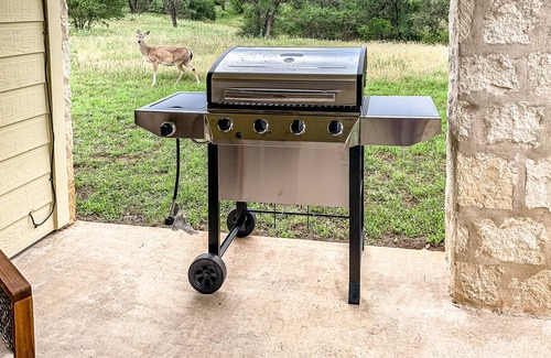 Horseshoe Bay House | Family & Dog-Friendly Home w/Free WiFi, Covered Patio, Gas Grill, & Central A/C