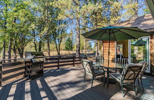West Point Cabin | Family & Dog friendly Fenced 5Acr: Pool Table, Playground, Firepit, BBQ, Starlnk