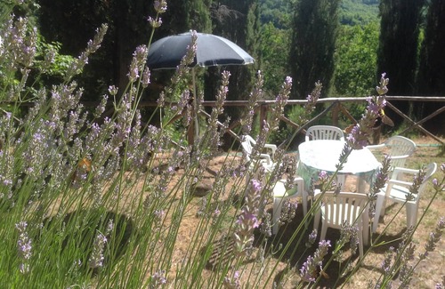 Castel Focognano House | Family-friendly Cottage in authentic stone style Pool Nature Wine Relax Wifi