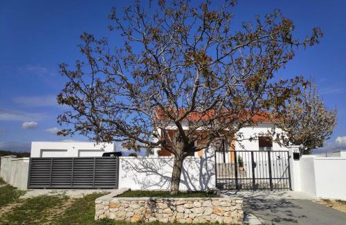 Velim House | Family friendly house with a swimming pool Bulic, Zagora - 18943