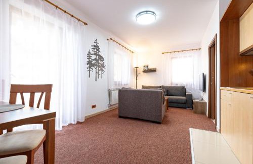 Velka Lomnica Apartment | Family & Friends Apartment