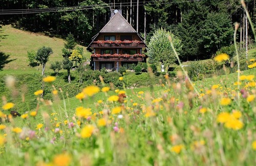 Oberwolfach Apartment | Family room with two separate Bedrooms