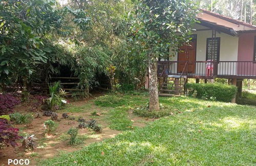Vayittiri House | Family Villa is a hut Style Accommodation