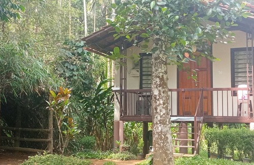 Vayittiri Villa | Family villa is a hut style accommodation