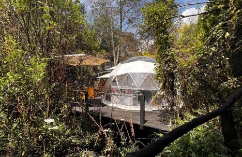 Santa Fe Other | Fantasia Glamping