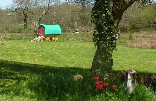 Hardanges House | Farm Bohemian trailer