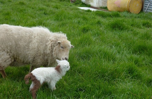 Hardanges House | Farm Bohemian trailer