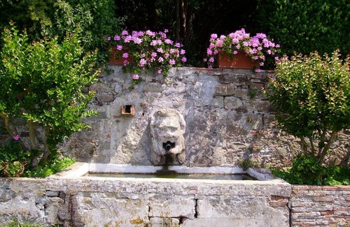 Petrognano House | Fattoria Gambaro di Petrognano