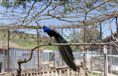 Buseto Palizzolo House | Fattoria Spezia - Nespola