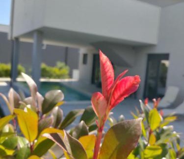 Banjole House | Favoloso Duplex Volme - Banjole, Pula, Croazia