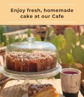 Tunis Village Bed & Breakfast | Fayoum Art Center