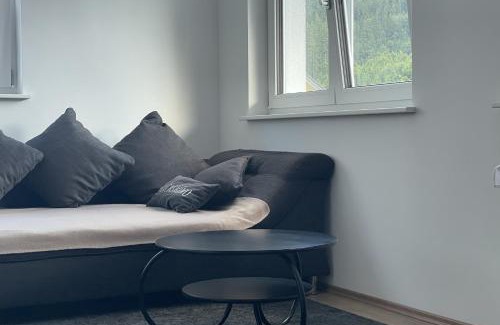 St. Blasien Apartment | Fe-Ba Ferienwohnung