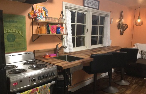 New Braunfels Cottage | Feel local! A Football Field Stroll to Downtown & the River! Pets encouraged!n