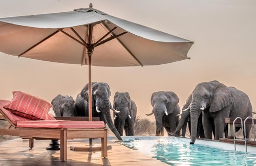 Kogu Cabin | Feline Fields The Lodge By Mantis