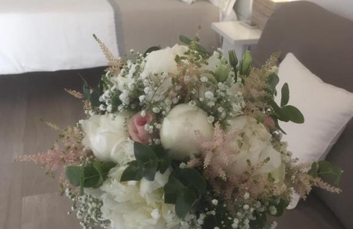 Grumo Appula Bed & Breakfast | FEMily B&B Bed and Breakfast di Puglia in - Bari