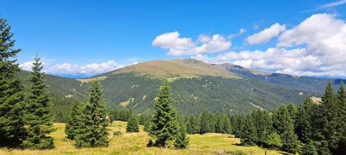 Sankt Marein bei Neumarkt Bed & Breakfast | Ferienhaus Riegler