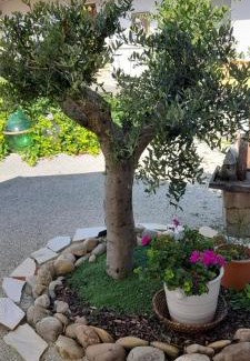 Wundschuh Apartment | Ferien Cottage