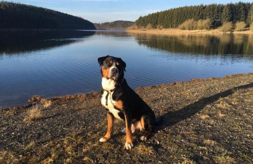 Bungalowdorf an der Talsperre House | Ferienhaus 204