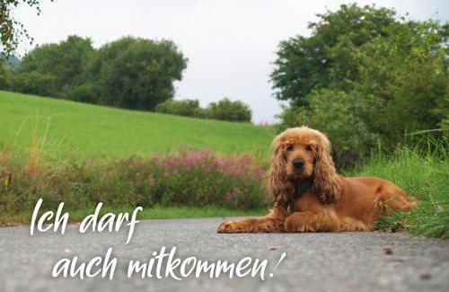 Haddorfer Seen House | Ferienhaus am See