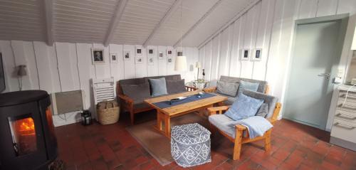 Drei House | Ferienhaus "Blaue Blume"