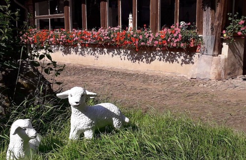 Hohenstein House | Ferienhaus für 15 Gäste mit 120m² in Hohenstein